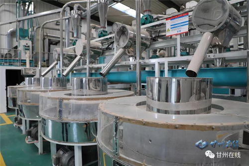 一粒小米，万朵花开 张掖花寨合作社的产业融合振兴之路